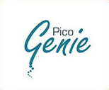 Pico genie